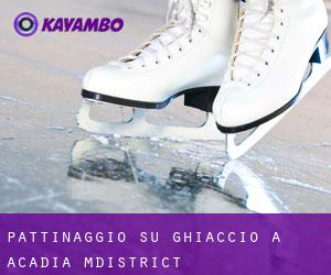 Pattinaggio su ghiaccio a Acadia M.District