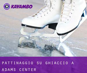 Pattinaggio su ghiaccio a Adams Center