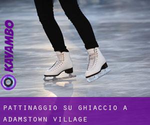 Pattinaggio su ghiaccio a Adamstown Village