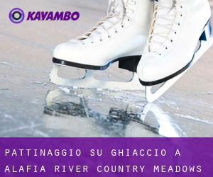 Pattinaggio su ghiaccio a Alafia River Country Meadows