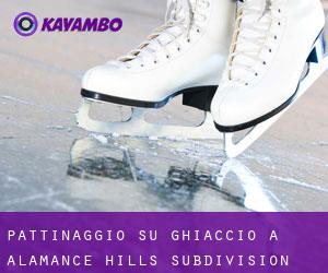 Pattinaggio su ghiaccio a Alamance Hills Subdivision