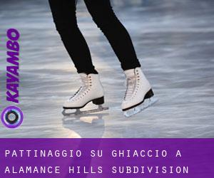 Pattinaggio su ghiaccio a Alamance Hills Subdivision