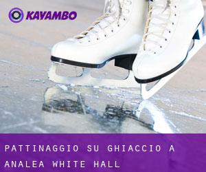 Pattinaggio su ghiaccio a Analea White Hall