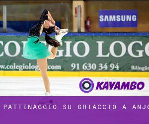 Pattinaggio su ghiaccio a Anjo Pattinaggio su ghiaccio a Anjo