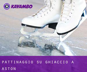 Pattinaggio su ghiaccio a Aston Pattinaggio su ghiaccio a Aston