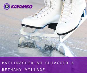 Pattinaggio su ghiaccio a Bethany Village