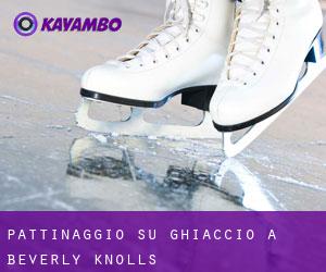 Pattinaggio su ghiaccio a Beverly Knolls