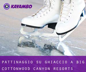 Pattinaggio su ghiaccio a Big Cottonwood Canyon Resorts