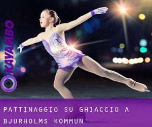 Pattinaggio su ghiaccio a Bjurholms Kommun Pattinaggio su ghiaccio a Bjurholms Kommun