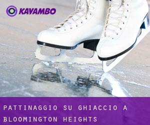 Pattinaggio su ghiaccio a Bloomington Heights