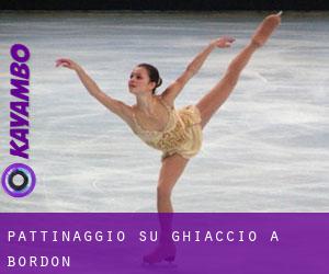 Pattinaggio su ghiaccio a Bordon Pattinaggio su ghiaccio a Bordon