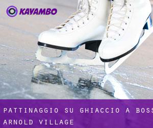 Pattinaggio su ghiaccio a Boss Arnold Village