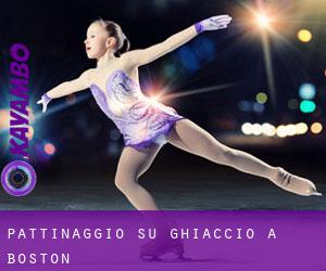 Pattinaggio su ghiaccio a Boston Pattinaggio su ghiaccio a Boston