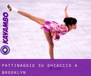 Pattinaggio su ghiaccio a Brooklyn Pattinaggio su ghiaccio a Brooklyn