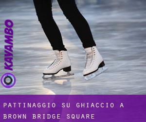 Pattinaggio su ghiaccio a Brown Bridge Square