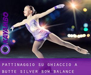 Pattinaggio su ghiaccio a Butte-Silver Bow (Balance) Pattinaggio su ghiaccio a Butte-Silver Bow (Balance)