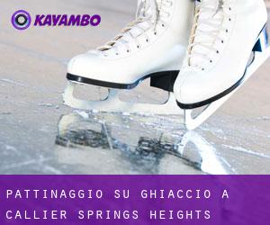 Pattinaggio su ghiaccio a Callier Springs Heights