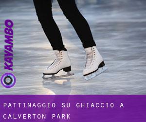 Pattinaggio su ghiaccio a Calverton Park