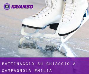 Pattinaggio su ghiaccio a Campagnola Emilia