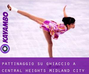 Pattinaggio su ghiaccio a Central Heights-Midland City