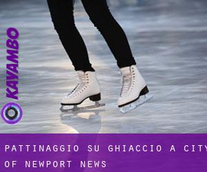 Pattinaggio su ghiaccio a City of Newport News