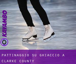 Pattinaggio su ghiaccio a Clarke County Pattinaggio su ghiaccio a Clarke County
