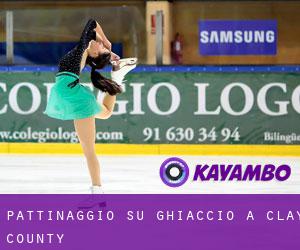 Pattinaggio su ghiaccio a Clay County Pattinaggio su ghiaccio a Clay County