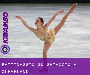 Pattinaggio su ghiaccio a Cleveland Pattinaggio su ghiaccio a Cleveland