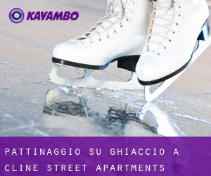 Pattinaggio su ghiaccio a Cline Street Apartments