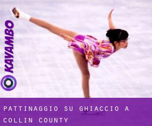 Pattinaggio su ghiaccio a Collin County Pattinaggio su ghiaccio a Collin County