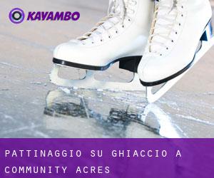 Pattinaggio su ghiaccio a Community Acres