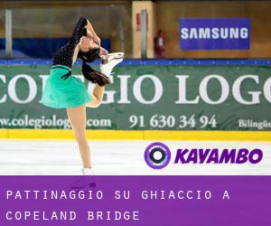 Pattinaggio su ghiaccio a Copeland Bridge