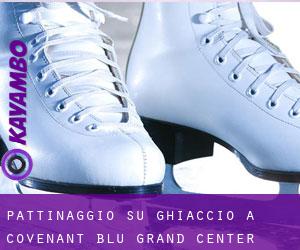 Pattinaggio su ghiaccio a Covenant Blu-Grand Center