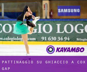 Pattinaggio su ghiaccio a Cox Gap Pattinaggio su ghiaccio a Cox Gap