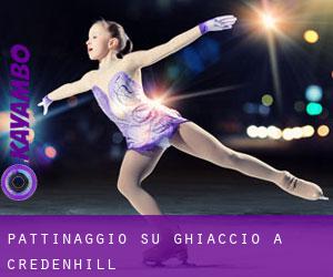 Pattinaggio su ghiaccio a Credenhill Pattinaggio su ghiaccio a Credenhill