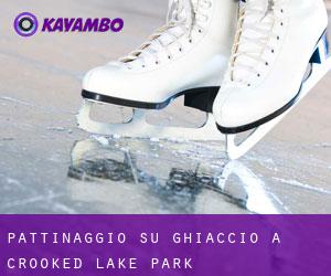 Pattinaggio su ghiaccio a Crooked Lake Park