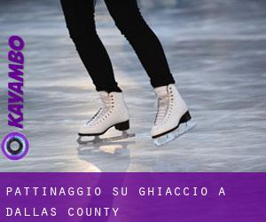 Pattinaggio su ghiaccio a Dallas County Pattinaggio su ghiaccio a Dallas County
