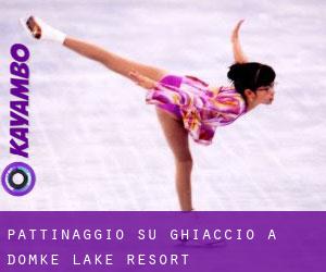 Pattinaggio su ghiaccio a Domke Lake Resort