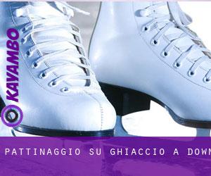 Pattinaggio su ghiaccio a Down Pattinaggio su ghiaccio a Down