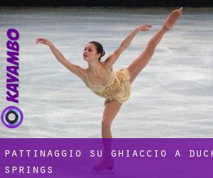 Pattinaggio su ghiaccio a Duck Springs Pattinaggio su ghiaccio a Duck Springs