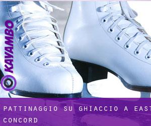Pattinaggio su ghiaccio a East Concord Pattinaggio su ghiaccio a East Concord