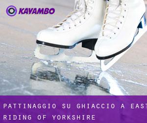 Pattinaggio su ghiaccio a East Riding of Yorkshire
