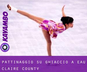 Pattinaggio su ghiaccio a Eau Claire County Pattinaggio su ghiaccio a Eau Claire County