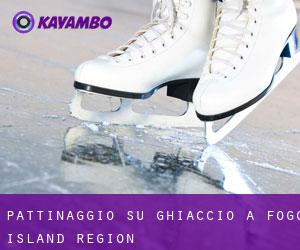Pattinaggio su ghiaccio a Fogo Island Region