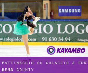 Pattinaggio su ghiaccio a Fort Bend County Pattinaggio su ghiaccio a Fort Bend County