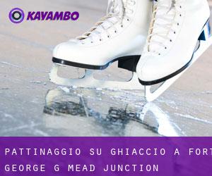 Pattinaggio su ghiaccio a Fort George G Mead Junction