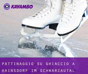 Pattinaggio su ghiaccio a Hainsdorf im Schwarzautal