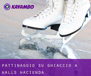 Pattinaggio su ghiaccio a Halls Hacienda