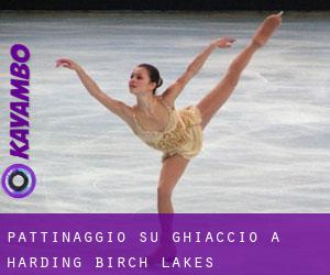 Pattinaggio su ghiaccio a Harding-Birch Lakes