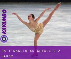 Pattinaggio su ghiaccio a Hardy Pattinaggio su ghiaccio a Hardy